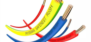 為揭露電線的奧秘，行業(yè)裝修專家親赴電線工廠？